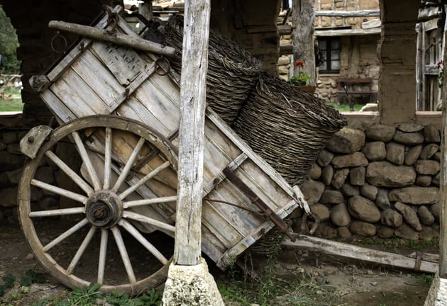 Aprende sobre el origen y su impacto.